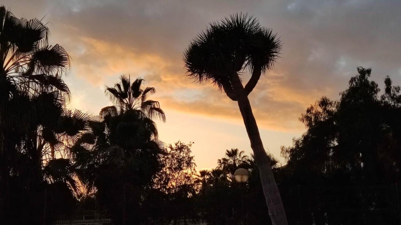 Paraiso Altemar, Duplex Las Americas Playa de las Américas Dış mekan fotoğraf