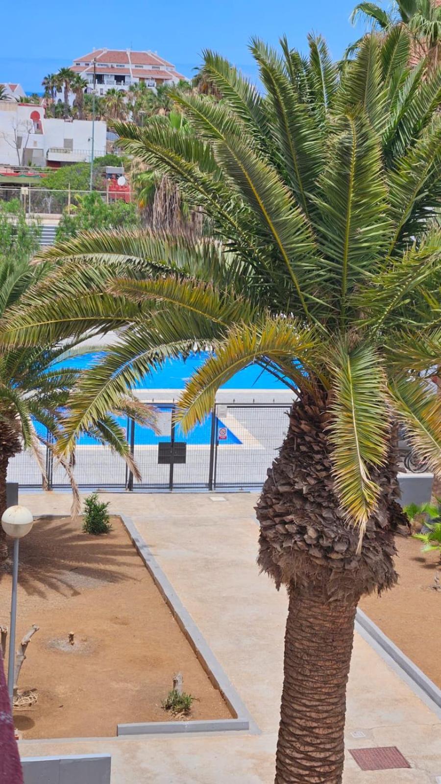 Paraiso Altemar, Duplex Las Americas Playa de las Américas Dış mekan fotoğraf
